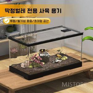 달팽이집 세트 사육장 달팽이키우기