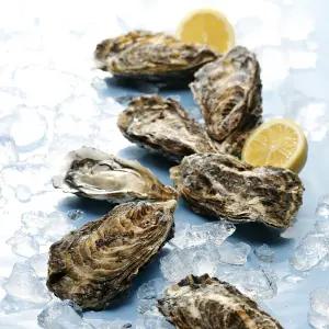 [품질보장] 통영 장보고닷컴 완벽 세척 깨끗한 각굴 석화 굴 10kg