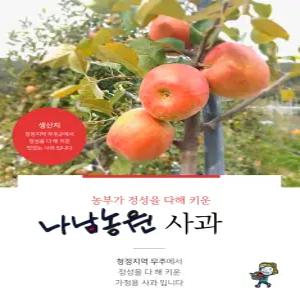 무주 반딧불 사과 부사 3kg 5kg 10kg 가정용 정과 미니사과