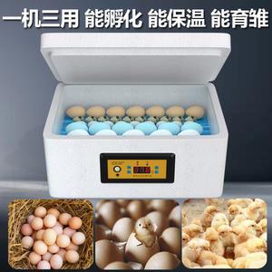 오리 메추리 병아리 단일전기 단일 소형 56구 부화기 1 계란 6개단일전기 오리알