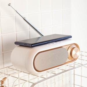 [단순생활] 올인원 라디오 스피커 무선충전 탁상시계