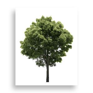 위메이크 페인팅 DIY 명화그리기 트리 NO.01 40x50