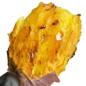 25년 꿀밤고구마 햇 고구마 2/3/5kg