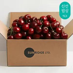 항/공/직/송 칠레산 생체리 10R 9.5R 9R 700g 1kg