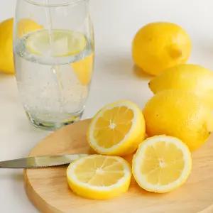 팬시레몬 최상급 생과 10과