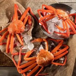 속초 메가 박달 홍게 게 자숙 박달 2마리