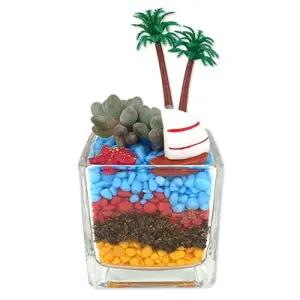 (1인 1박스 포장) 여름 다육 화분 만들기/다육이용/학교용/수업/어린이집용/교구용/교육용/다육용/실내용/D