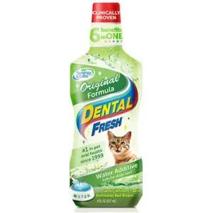 고양이입냄새 캣가글 덴탈케어 구강관리 물치약 입양준비물 치석제거 댕냥이 입속건강