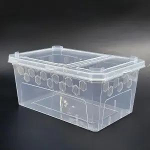 대형 파충류 크레스티드 게코 도마뱀 사육장 H11 크레스티드게코사육장