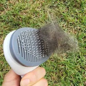 고품질 원터치 반려견 빗 브러시 강아지용품 (WFFQQNA)