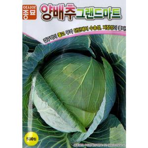 (씨앗) 그랜드마트양배추 - 결구력이 좋은 양배추 씨앗 종자 - 소포장 - 500립