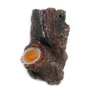 반원나무괴목/인공놀이목/곤충놀이터/곤충용품/곤충