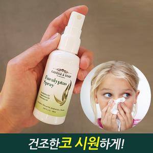 캔들앤솝 유칼립투스 스프레이 60ml / 비염 코막힘 코막힐때