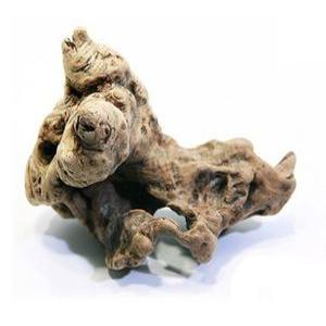 세틀 오푸와 유목 (10~20cm)