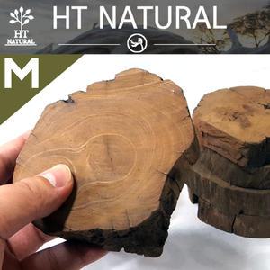 세틀 절단유목 M (H:30mm /Ø:70~100mm) /수족관 어항 수조 장식품 꾸미기 모스 활착 구피 거북 컷팅 유목