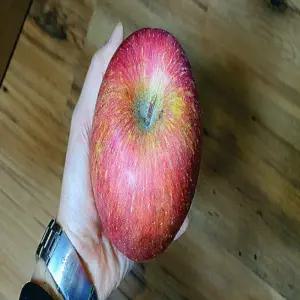 사과나무 부사 미야미,미야비사과 2중왜성대목 접목1년생 묘목 정원 과일나무 (목하원예조경)