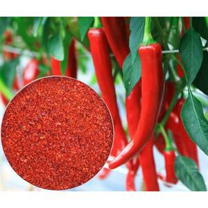 [다산식품][HACCP] 25년 햇   햇  경북영양 청결 고춧가루/고추가루  2Kg (무배)