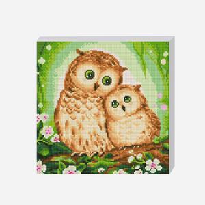 DIY 보석십자수 세트 꽃과 부엉이 30x30cm 캔버스형 비즈