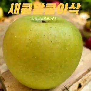 시나노골드 사과나무 2중왜성대목 황금빛 사과 접목1년생 부사 묘목 과일나무 (목하원예조경)