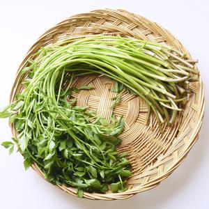 당일작업 국내산 세척 미나리 1kg