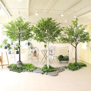 인테리어 대형 인조 목대 화분 소원나무 자작 조화나무 2type