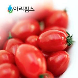 탱글탱글 대추방울토마토 2kg (1~2번과 대과)