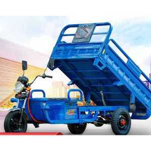 미니 전기차 초소형 삼토바이 삼발이 전기 트럭 화물 고품질