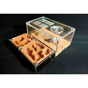 개미집 곤충 하우스 여왕 개미 키우기 관찰 사육장 개미집(표준)