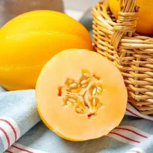 [신세계라이브쇼핑]달콤한 주황빛 과육, 프리미엄 베타참외 3kg 로얄과 (6-7과) 고당도 신품종 성주참외