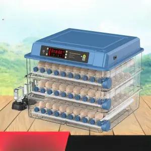 파충류 오리알 부화기 과학 인큐베이터 계란 가정용