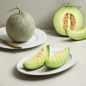 산/지/직/송 당도보장 프리미엄 세지 메론 1.7kg*2과 (3.4kg 내외)