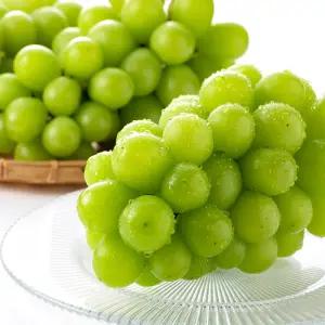 달콤함이 입안가득, 껍질째 먹는 샤인머스켓 4kg (5-7수)