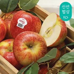 [품질보장] 정품 엔비사과 소과 2kg 10과내외