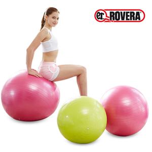 [로베라] 안티버스트 짐볼세트(펌프+운동가이드) 65cm