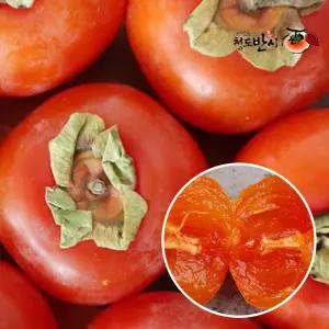 씨없는 고당도 청도반시 반시 5kg(40과내외)