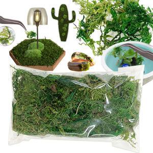 테라리움 조경 수경 아쿠아리움 레진공예  이끼 이끼키우기 20g