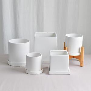 도자기화분 반무광 우드스탠드 분갈이 미니화분