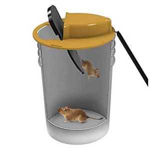 양동이 쥐덫 트랩 포획 덫 함정 자동 쥐 블랙 바케스