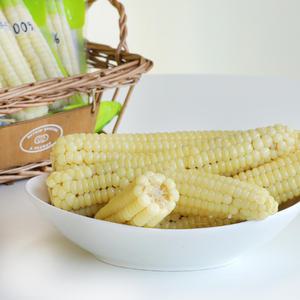 괴산 대학 찰옥수수 냉동 찐 삶은 옥수수 15개입 17cm이상