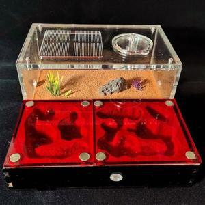 개미집 개미사육장 대형 키우기 2 S11 작업 A타입 하우스 사육장 개미둥지