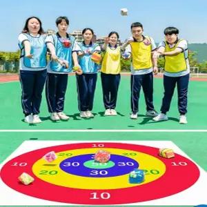 신발 던지기 점수판 샌드백 양궁 과녁 경기 원반 게임판