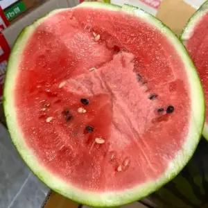 고당도 꿀수박 3~4kg 겨울 하우스 수박 아삭달콤한 맛있는 수박