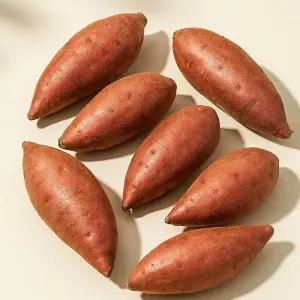 세상별미 햇 꿀 고구마 호풍미 호박고구마 베니하루카 10kg