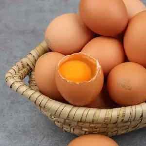 [알부자집] 무항생제 계란 대란 60구(30구X2판)