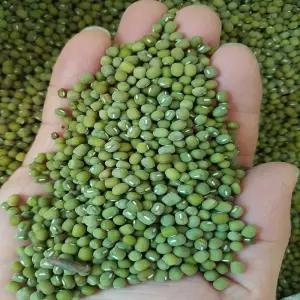 [25년산]녹두,통녹두,국산녹두,1kg