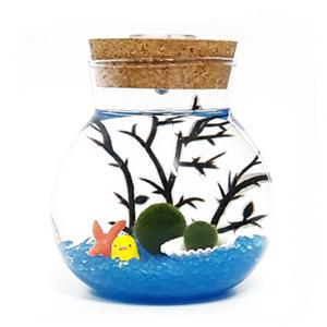 led 볼단지 어항 마리모키우기 세트 DIY 파랑자갈 마리모포함