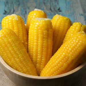 노랑이 찰옥수수 냉동 삶은 찐 옥수수 무첨가 2kg,4kg 찰기좋은 부드럽고 구수한맛