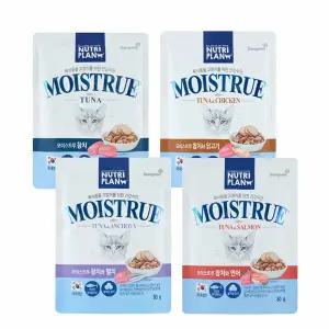동원 뉴트리플랜 모이스트루 고양이파우치 길냥이파우치 길고양이간식 80g x 12개
