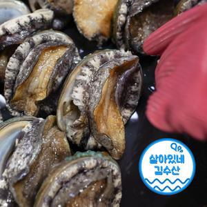 매일 출발 활전복 회로 먹을 수 있는 신선도 최상급 완도산 생물 전복 1kg