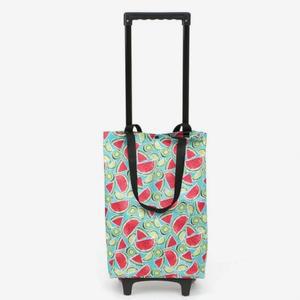 마트 핸드 캐리어 장바구니 시장 접이식카트